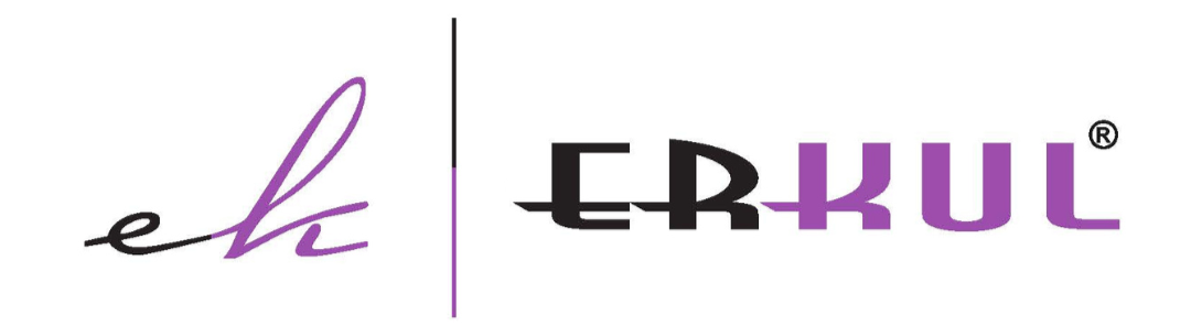 ERKUL AUTO LLC logo